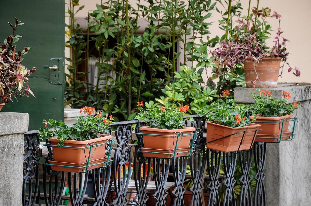 Residenza Betta Panzió Firenze Kültér fotó